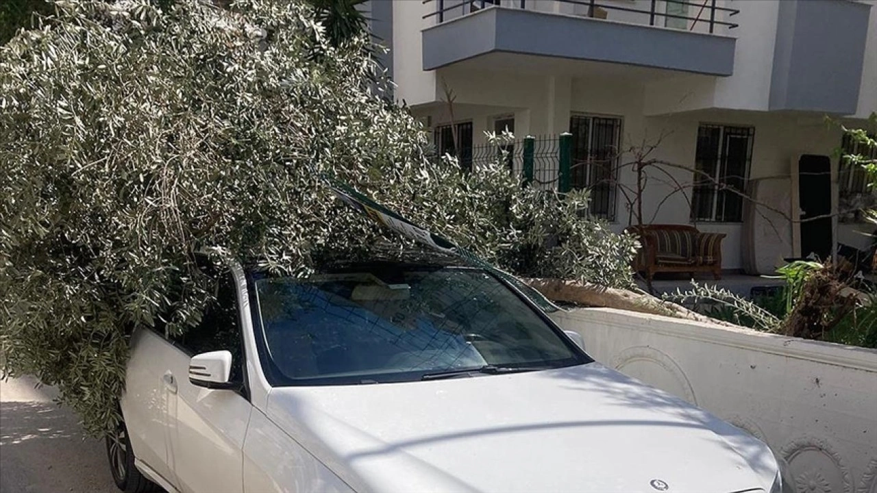 Antalya'da kuvvetli rüzgar etkili oldu