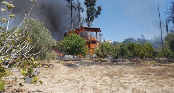 Antalya'da meyve bahçesinde yangın