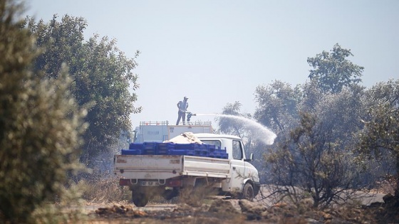 Antalya'da yangın