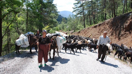 Antalya'da Yörüklerin yayla yolculuğu başladı