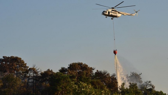 Antalya Kemer'de orman yangını çıktı