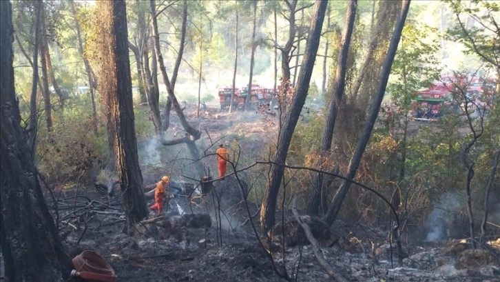 Antalya'da çıkan orman yangını havadan ve karadan müdahaleyle söndürüldü