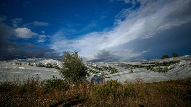 Antalya'da muz seraları hortumda zarar gördü