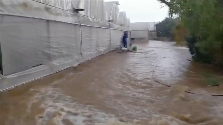 Antalya'da sağanak sera ve meyve bahçelerine zarar verdi