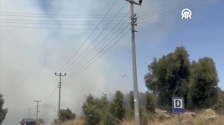 Antalya'da yerleşim yerleri yakınında yangın çıktı
