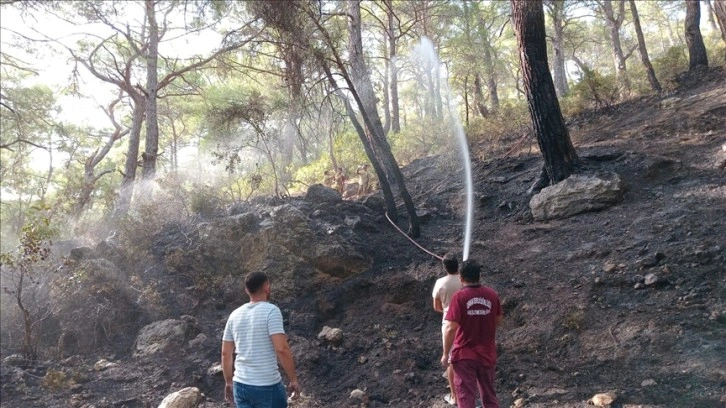 Antalya'nın Kaş ilçesindeki orman yangını kontrol altına alındı