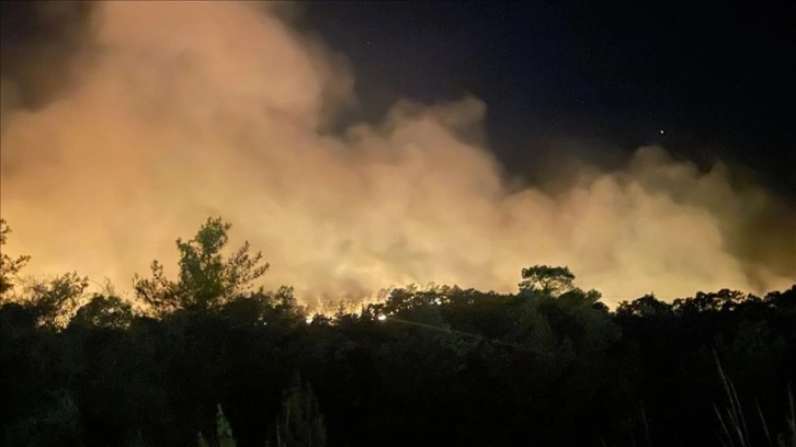 Antalya'nın Kemer ilçesinde orman yangını çıktı