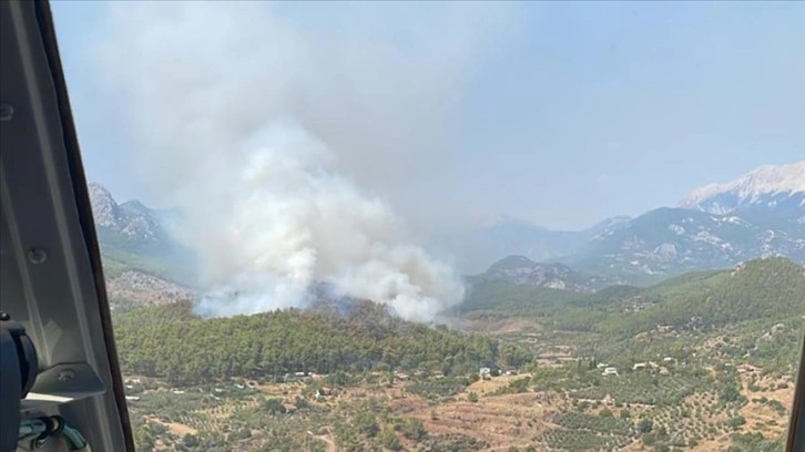 Antalya'nın Serik ilçesinde orman yangını çıktı