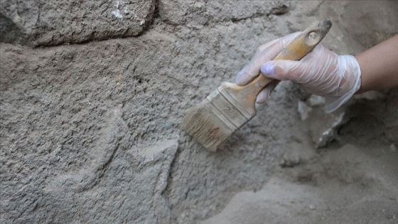 Antik Harran Ören Yeri&#039;ndeki eserlerin müzeye &#039;hassas yolculuğu&#039;