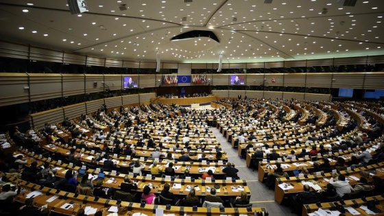 AP'den Schengen bölgesindeki sınır kontrollerine sınırlama çağrısı