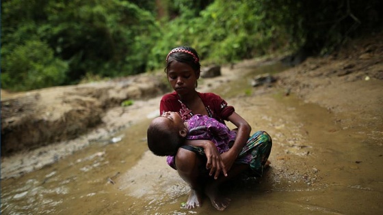 'Arakan'da durum etnik temizliğe ilişkin bir ders kitabı örneği gibi'