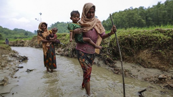 'Arakan'da Rohingya Soykırımı' kitabı Türkçe'ye çevrildi