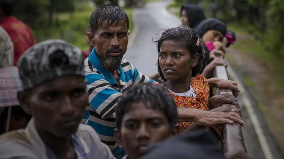 Arakan için imza kampanyası