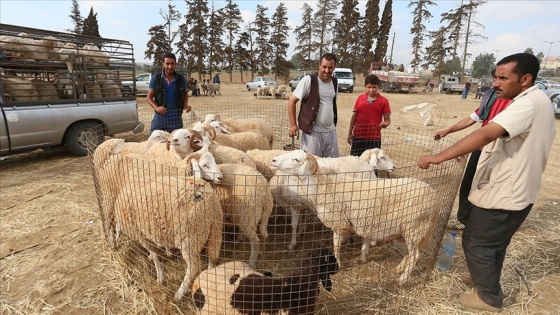 Arap ülkelerinden 17'si Kurban Bayramı'nı 20 Temmuz'da kutlayacak