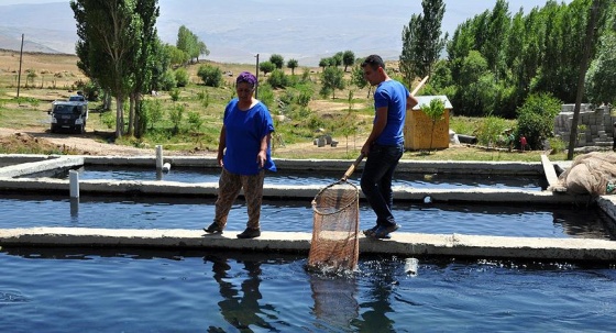 Arazilerinde kurdukları alabalık tesisi geçim kapıları oldu