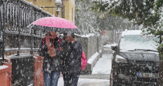 Ardahan'a lapa lapa kar yağdı