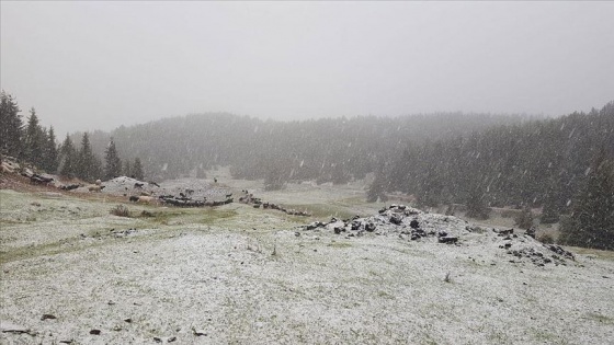 Artvin'de yüksek kesimler beyaza büründü