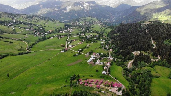 Artvin&#039;in Arsiyan Yaylası sükunet arayan doğaseverleri ağırlıyor