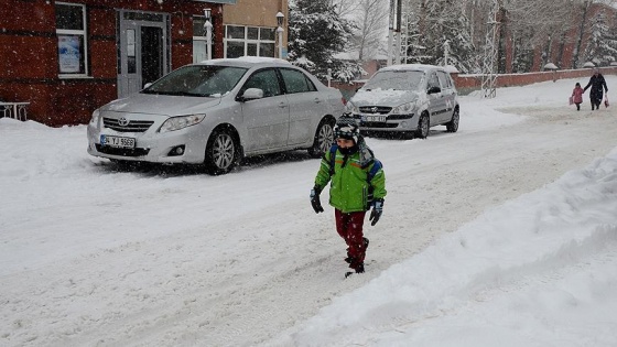 Artvin ve Ordu'da eğitime kar engeli