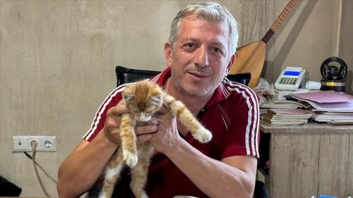 Artvin'de esnaf kalp masajıyla hayata döndürdüğü kedi yavrusuna iş yerinde bakıyor