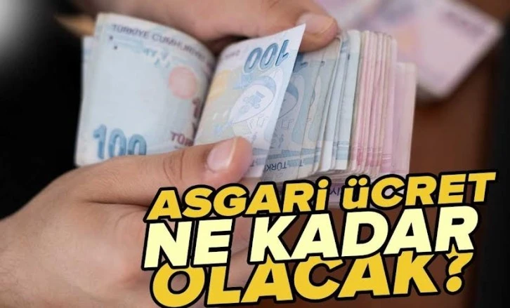 Asgari ücrette halkın nabzı mı yoklanıyor? -Yunus Şanlı yazdı-