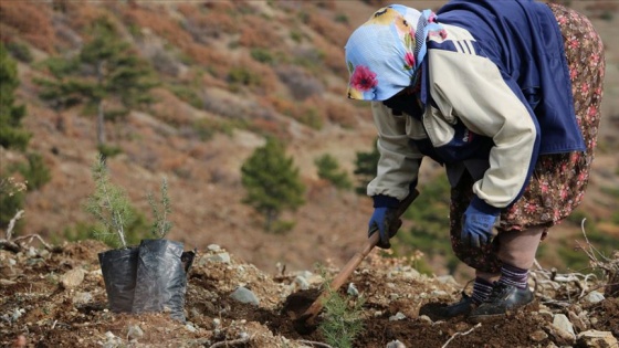 'Asırlık çınar' olan anneler için Sakarya'da 'Cennet Anneleri' adında hatır