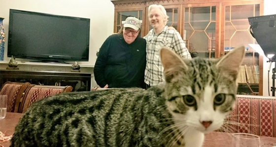 Assange'ın avukatı açıkladı: 'Kedi James kurtarıldı ve iyi'