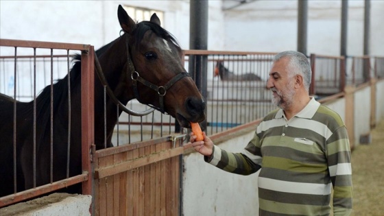 At sevgisiyle kurduğu çiftlikte hipodromlar için 'şampiyon' yetiştiriyor