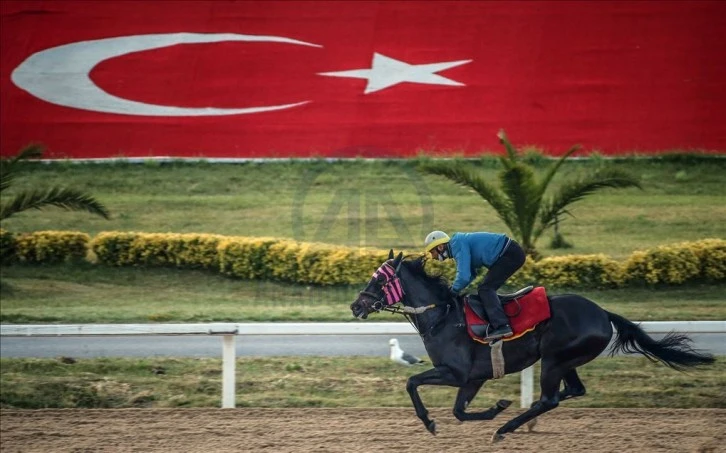 At Yarışlarında Kazanmanın Sırları: TJK TV, At Yarışı Bülteni ve Altılı Ganyan Sonuçları