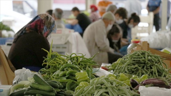 Ata tohumunu toprakla buluşturup sertifikalı ve organik ürünler yetiştiriyorlar