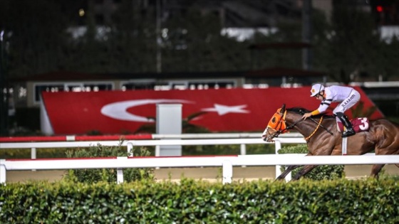 Atçılık camiasından yarışların başlatılması talebi