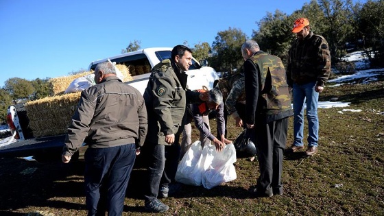 Avcılar yaban hayvanlarını unutmadı