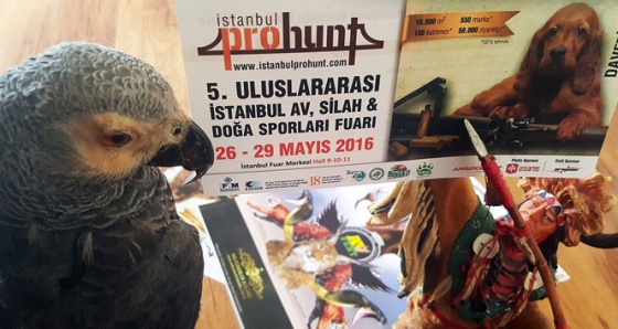 Avfest, Uluslararası Prohunt Fuarı'na katılacak