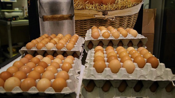Avrupa'da böcek ilaçlı yumurta skandalı yayılıyor
