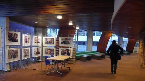 Avrupa Konseyinde 'Yüzler' sergisinin resmi açılışı yapıldı