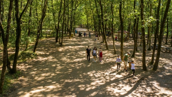 Avrupa'nın en büyük doğal yaşam parkı 5 milyon ziyaretçiyi ağırladı