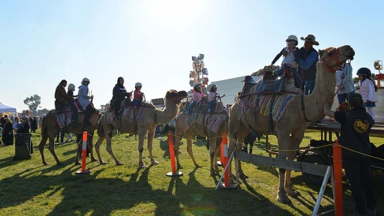 Avustralya'da Müslümanların 'Bayram Festivali' coşkusu