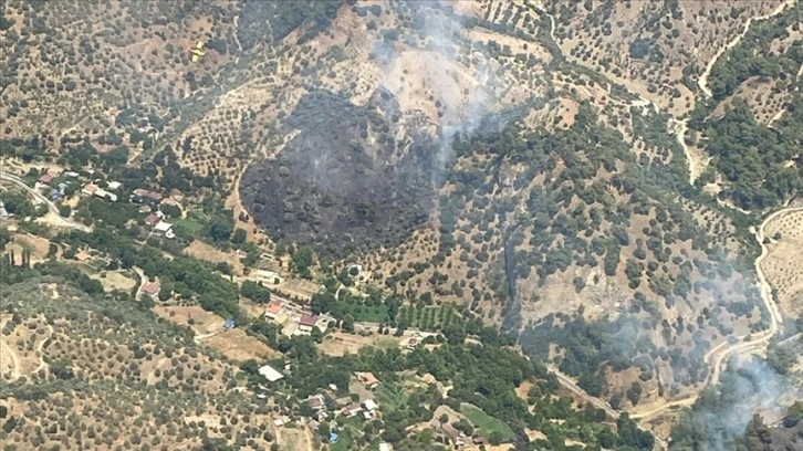 Aydın'da ormanlık ve zeytinlik alandaki yangın kontrol altına alındı