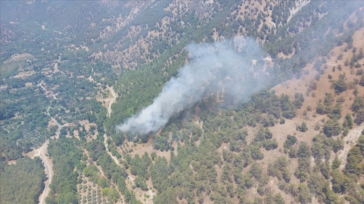 Aydın'da tarım arazisinden ormana sıçrayan yangın kontrol altına alındı
