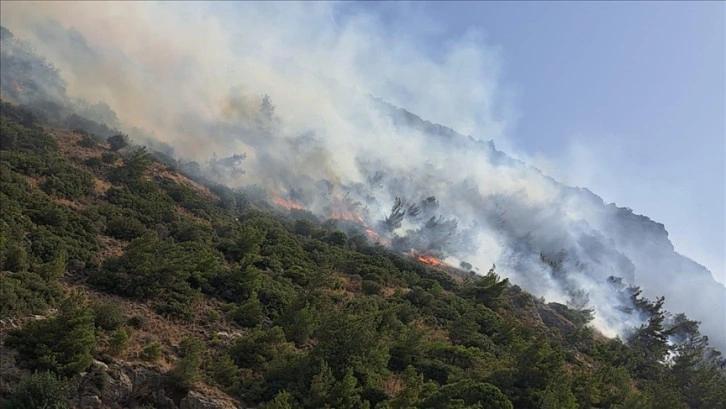 Aydın'ın Söke ilçesinde orman ve makilik alanda çıkan yangın kontrol altında