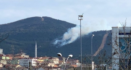 Aydos Ormanı'nda yangın çıktı