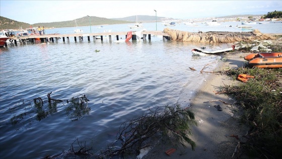 Ayvalık'ta hortum ve şiddetli yağışın verdiği hasar gün aydınlanınca ortaya çıktı