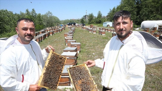 Baba mesleğini sürdüren kardeşler ana arı talebine yetişemiyor