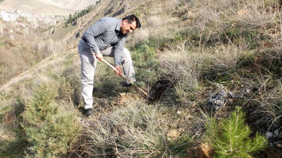 Babasının anısına binlerce fidan dikti