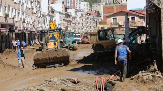 Bakan Dönmez: Dereli merkezin yüzde 80'i elektrik kullanır vaziyette