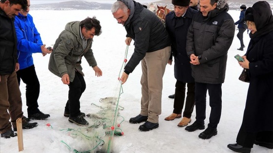 Bakan Ersoy Çıldır Gölü'nde atlı kızağa binip balık tuttu