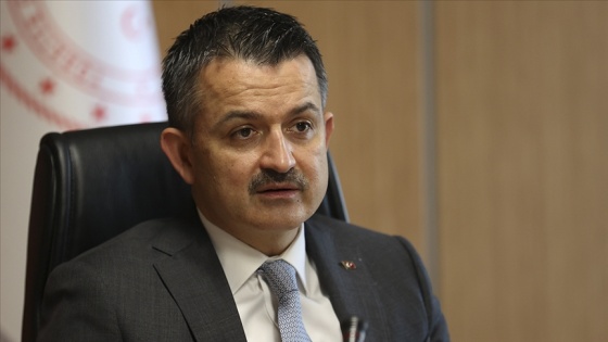 Bakan Pakdemirli: 2020'nin 11 ayında tarım ve gıda ürünleri ihracatımızı yüzde 4,3 artırdık