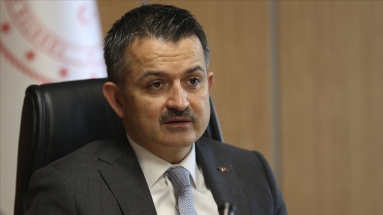 Bakan Pakdemirli: İpek böceği ve tiftik desteklemeleri ödemelerine başlıyoruz