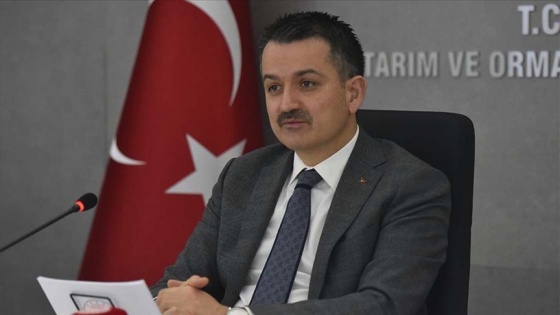 Bakan Pakdemirli: Kıvırcık ve Karacabey merinosunu soy kütüğü desteği kapsamına aldık