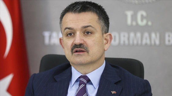 Bakan Pakdemirli: Yılda 5,5 milyon balon balığı için 5 milyon lira ödeme yapmayı hedefliyoruz